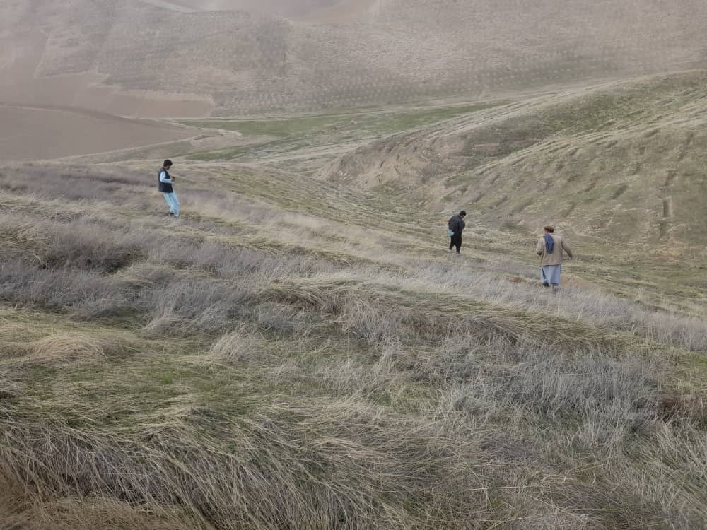 سروی تخنیکی پروژه احیای جنگلات در تالقان انجام شد