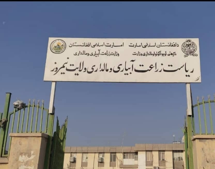 تشدید تلاش‌ها برای حفاظت از جنگلات؛ پنج تن در ولسوالی دلارام بازداشت شدند