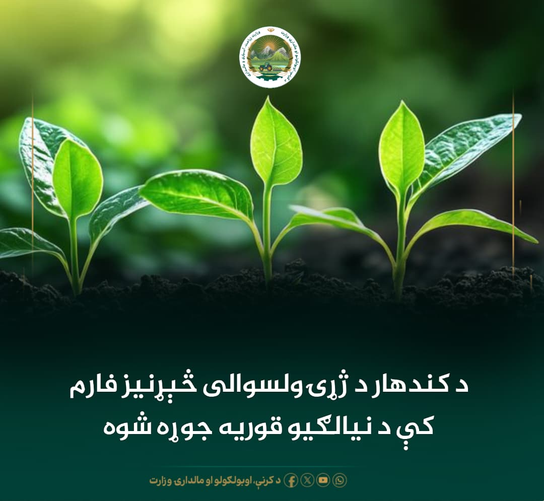 د ورځ مهمی خبری