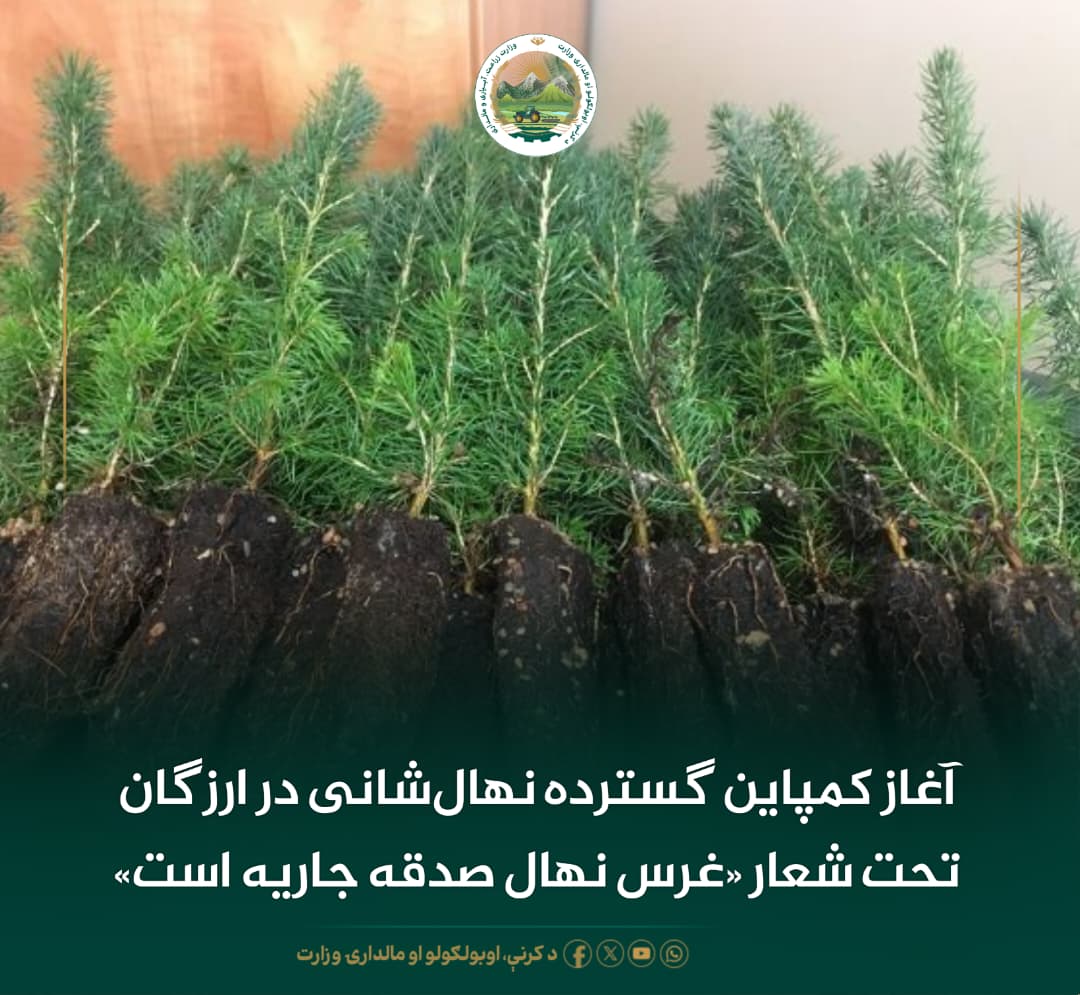 خبرهای مهم روز