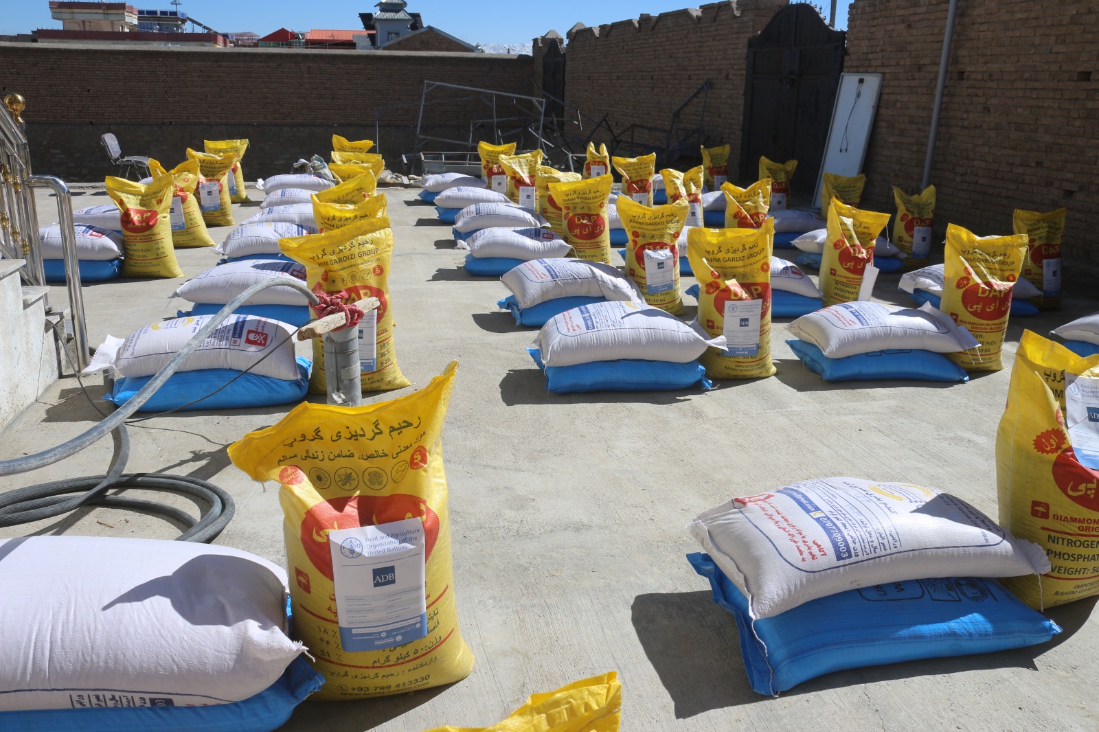 پکتيا ‍۱۵۰۰ بزګرانو ته د غنمو اصلاح شويو تخمونو او کيمياوي سرو د وېش لړۍ پيل شوه