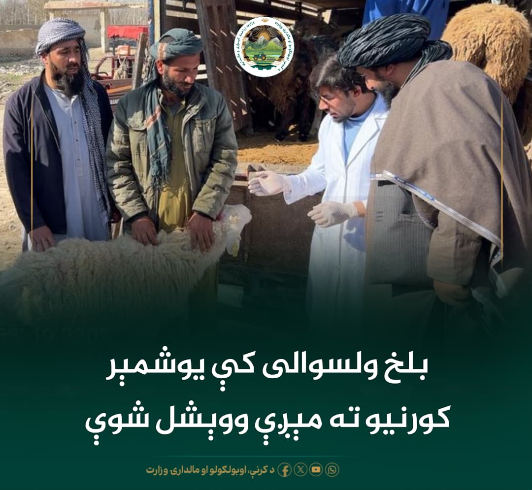 د ورځ مهمی خبری