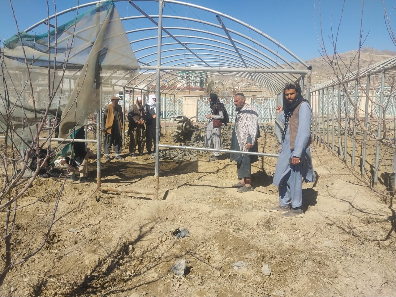 د میدان وردګو ولایت کرنې ریاست کې د شنو خونو د جوړولو کار پیل شو