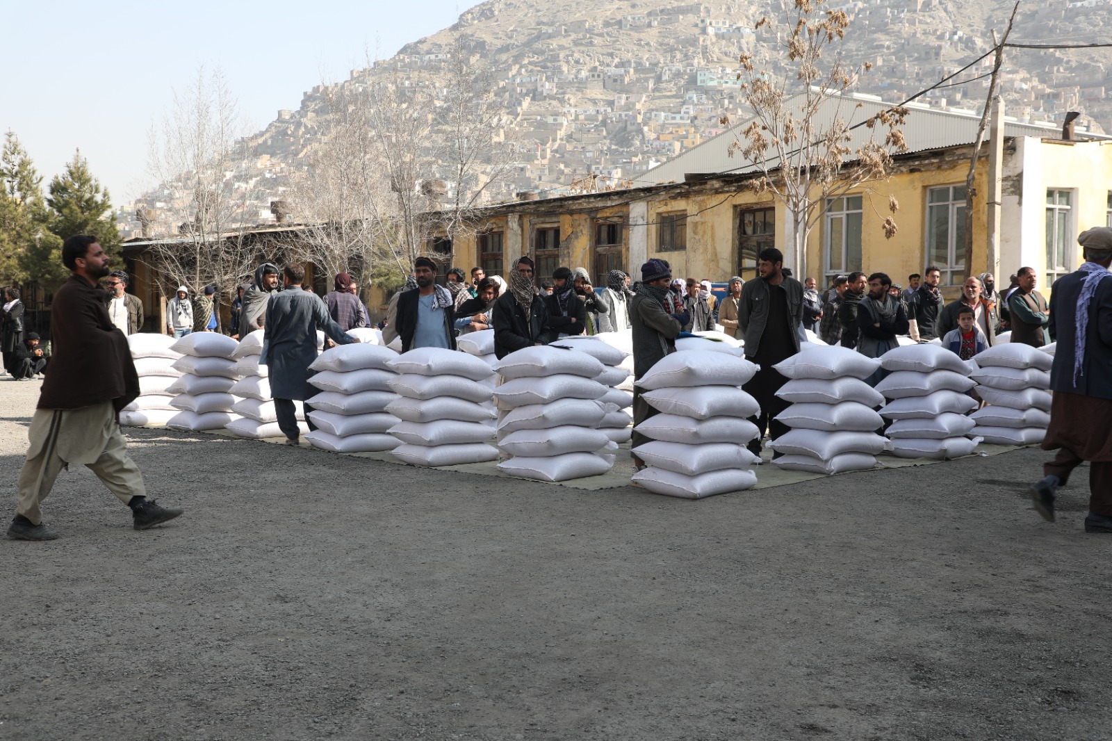 آغاز روند توزیع گندم و کمک نقدی برای مهاجرین بازگشته در کابل