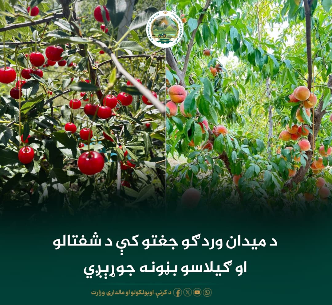 د ورځ مهمی خبری