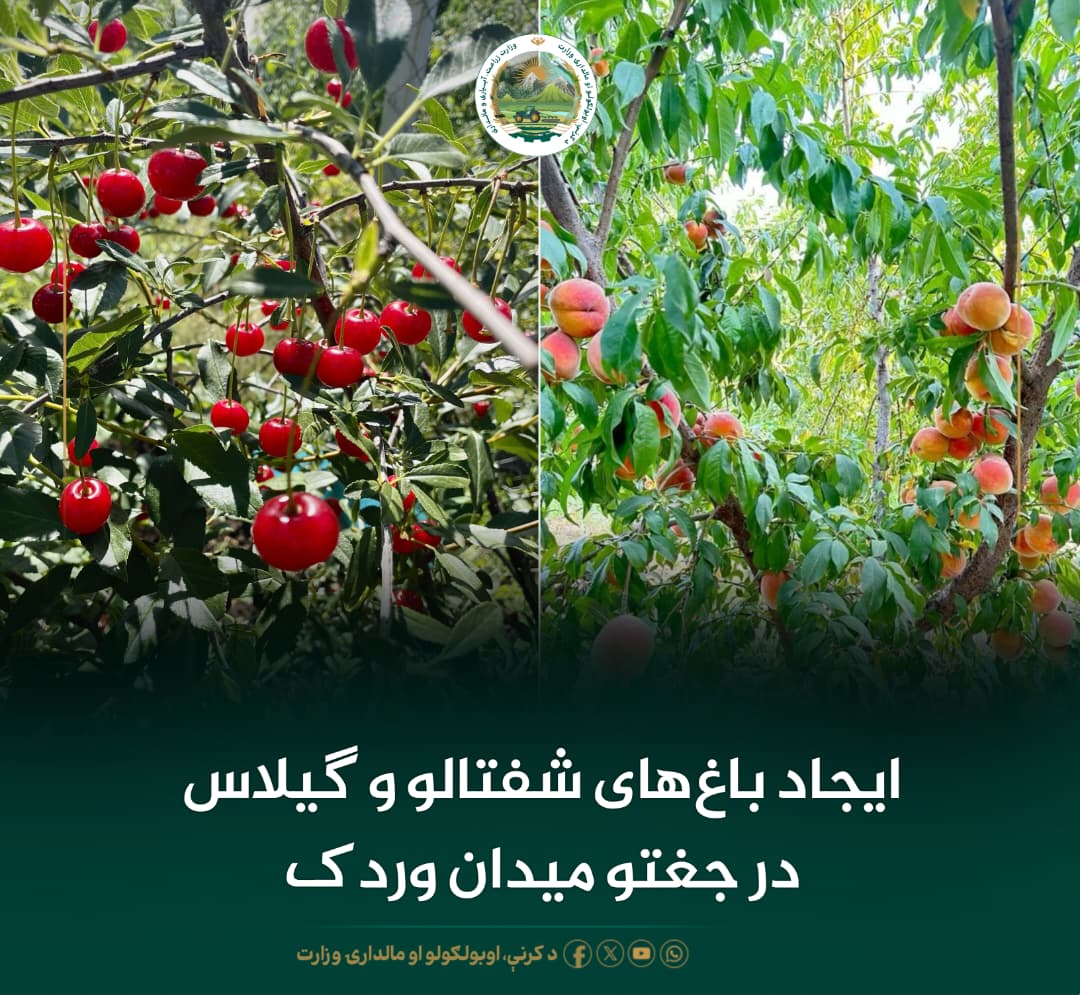 خبرهای مهم روز