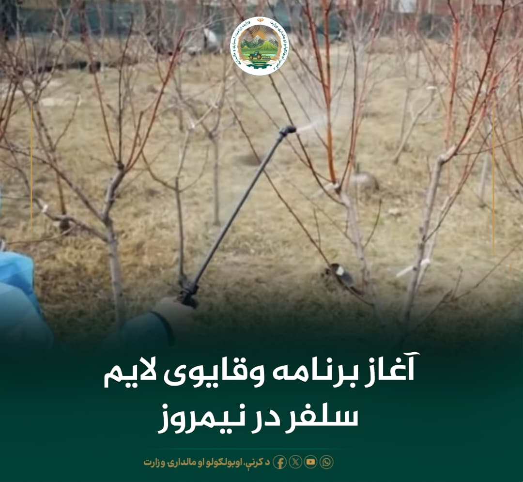 خبرهای مهم روز