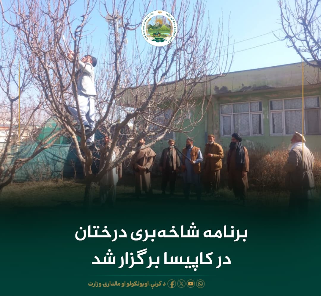 خبرهای مهم روز