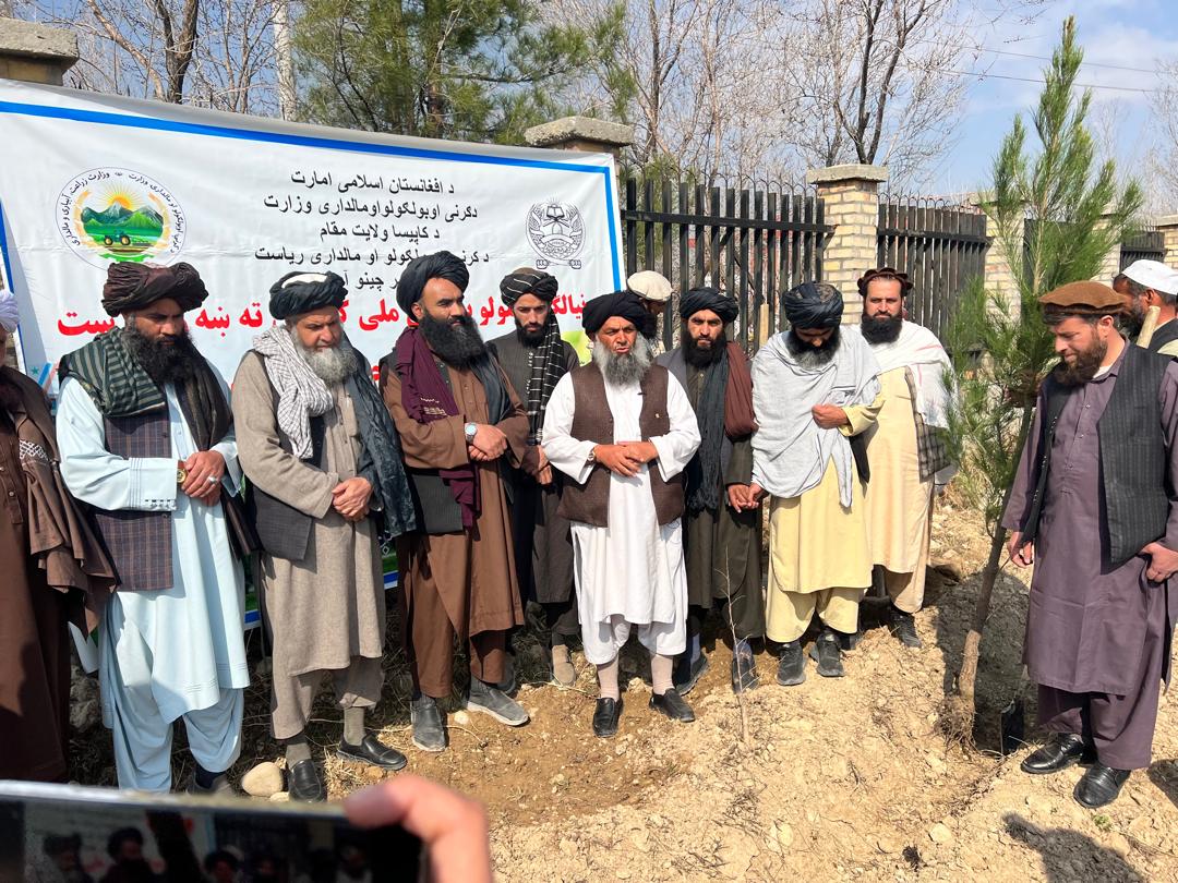 آغاز کمپاین ملی نهال‌شانی بهاری در کاپیسا