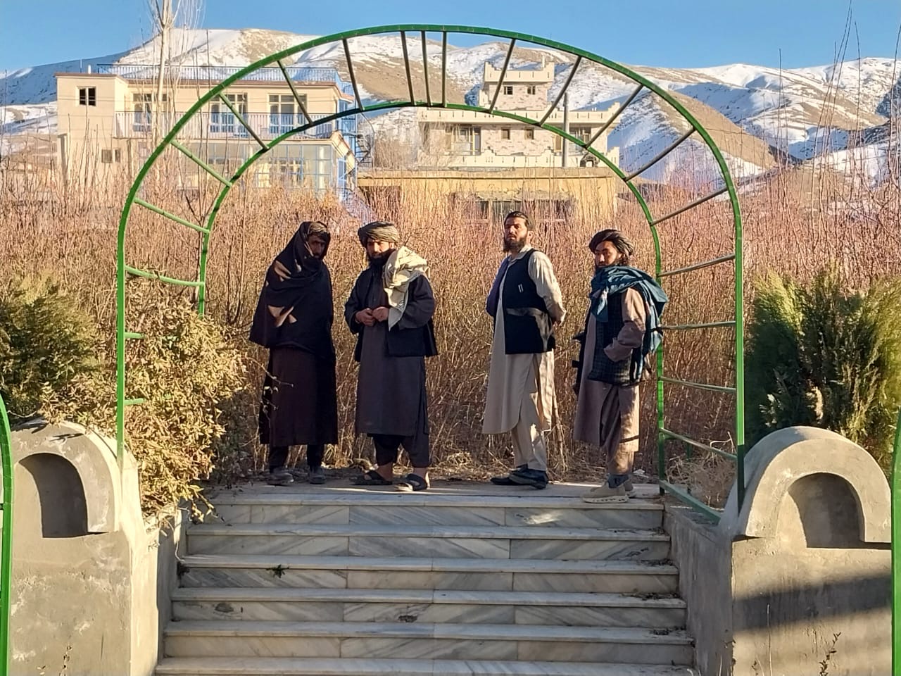 د میدان وردګو دکرنې ریاست: د بادامو ۱۲ زره نیالګي وېش ته چمتو دي