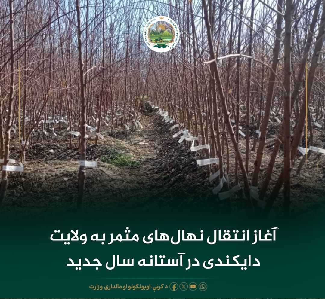 خبرهای مهم روز