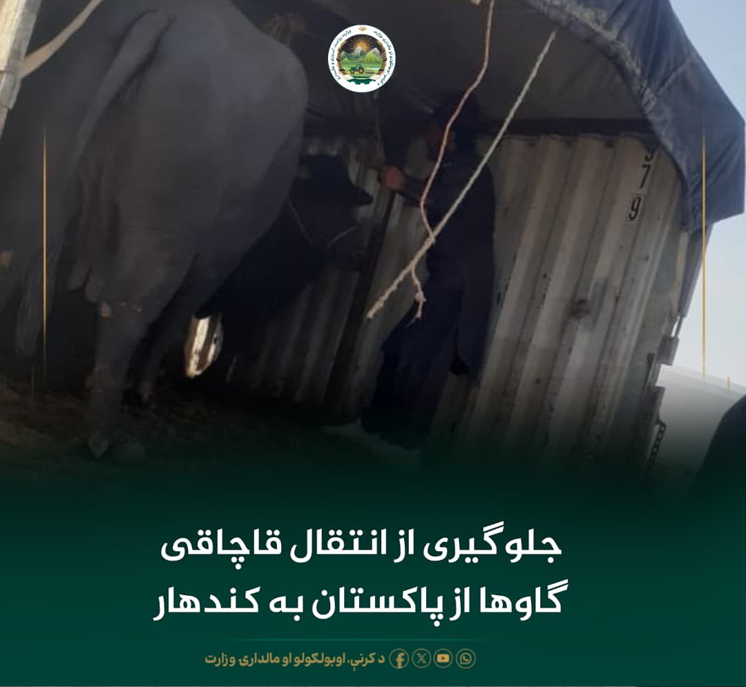 خبرهای مهم روز