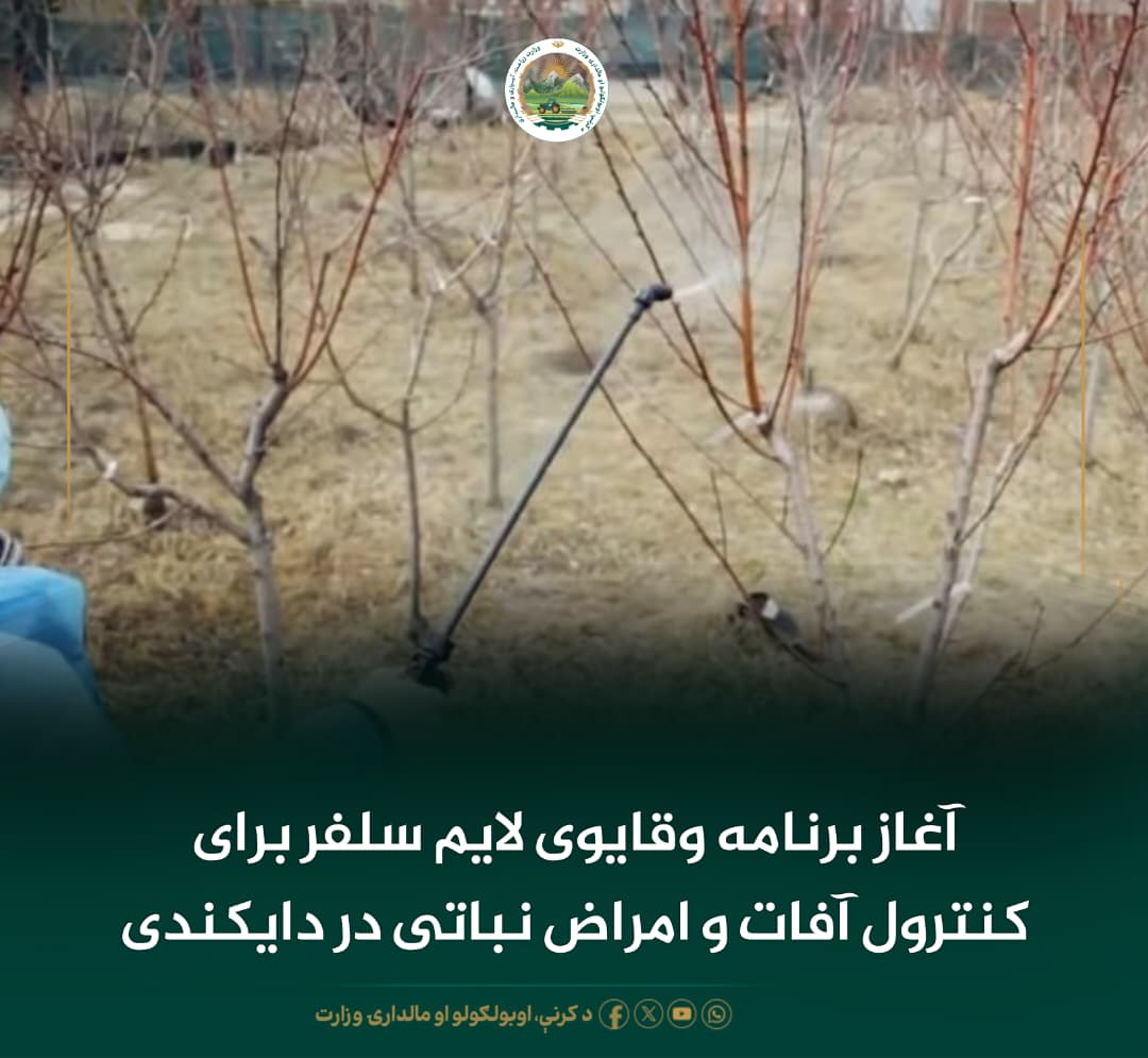 خبرهای مهم روز