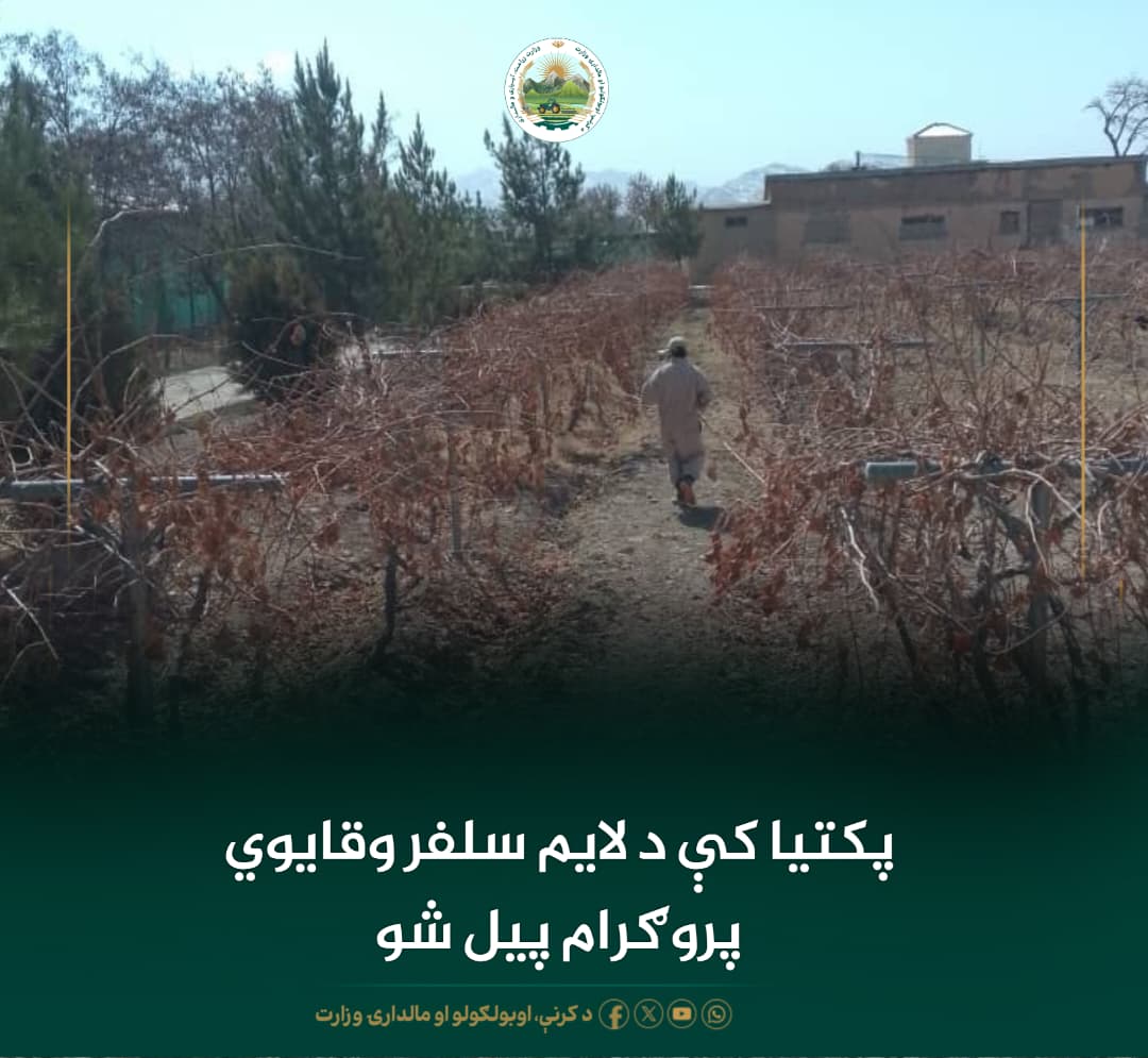 د ورځ مهمی خبری