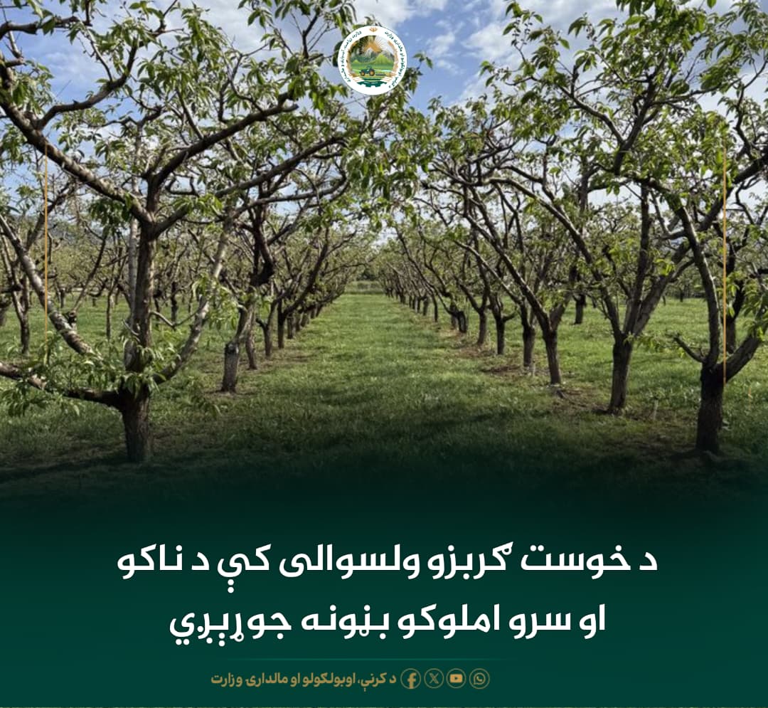 د ورځ مهمی خبری