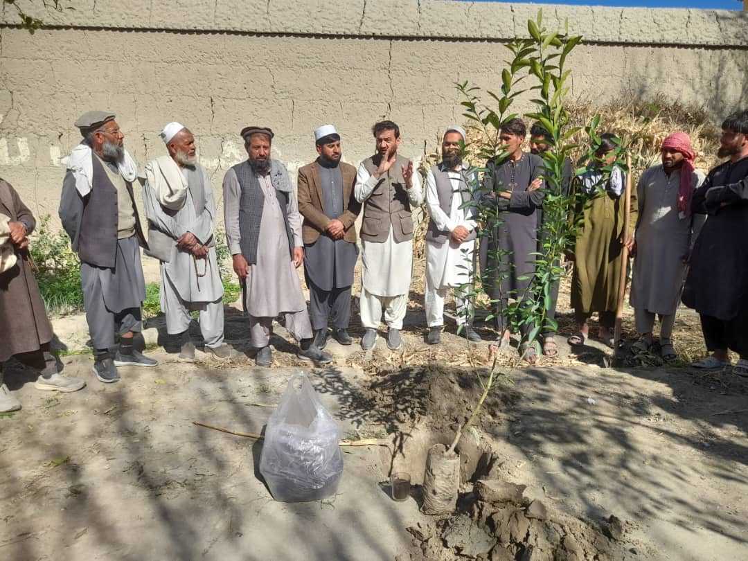 د ننګرهار په دوو ولسوالیو کې ۸۰ بزګرانو ته بڼونه جوړ شول