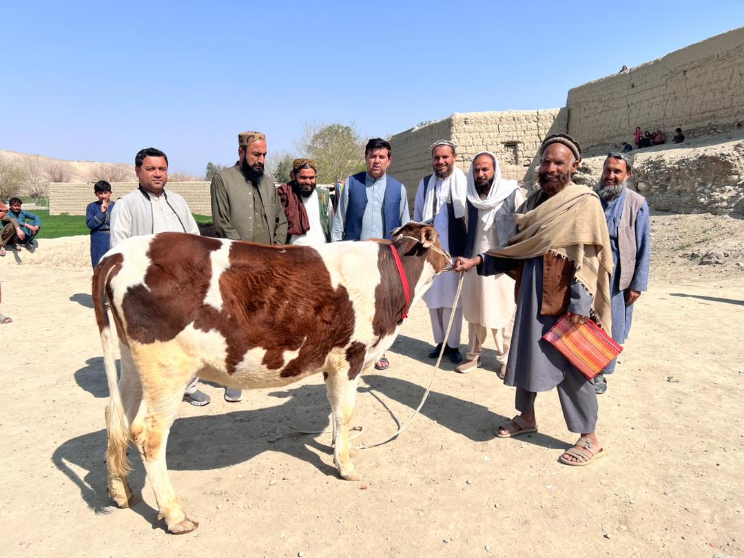 ننګرهار کې پر لسګونو کورنیو د خوسکیو وېش