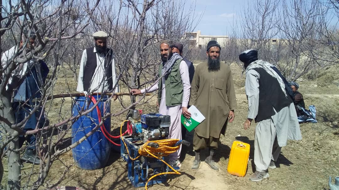 میدان وردګو کې د بڼونو او ونو خونديتوب په پارهڅې؛ د ژمني تېلو پاشلوپروګرام پیل شو