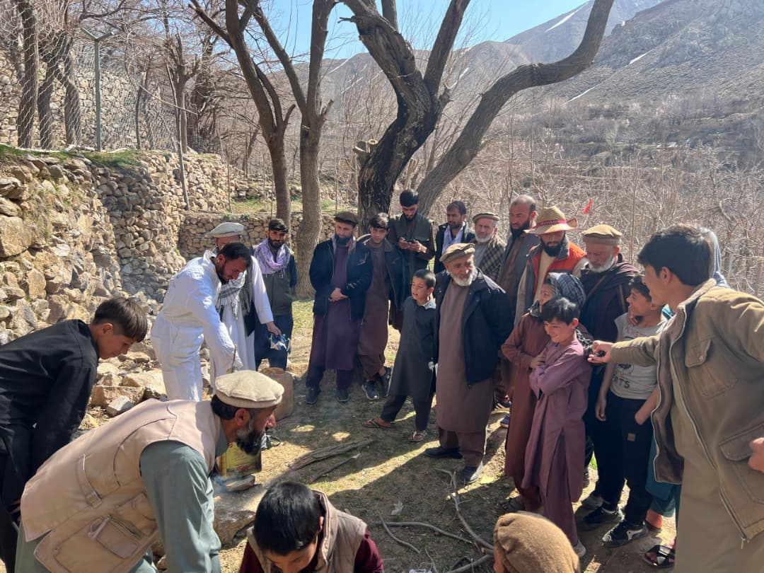 آغاز برنامه آموزشی لایم سلفر برای باغداران در ولایت پنجشیر