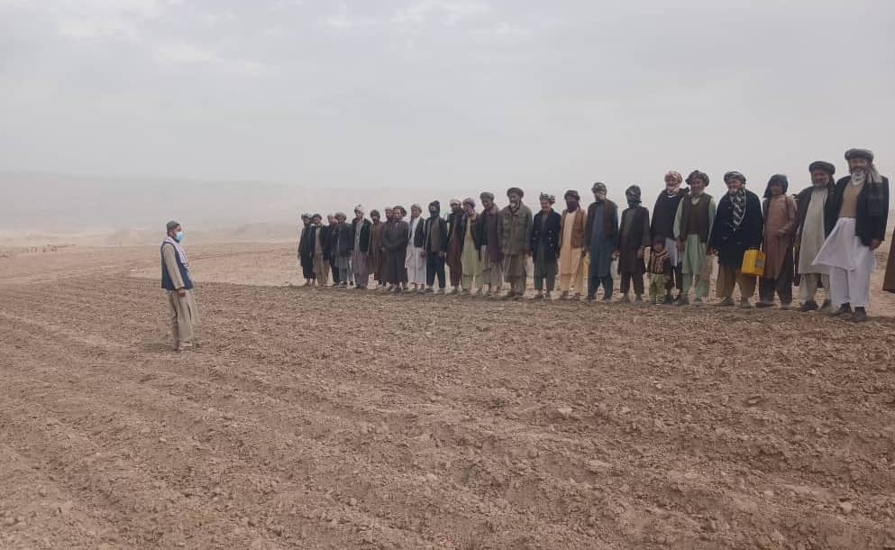 برگزاری برنامه آموزشی استفاده مؤثر از حشره‌کش‌ها برای دهقانان در ولایت سمنگان