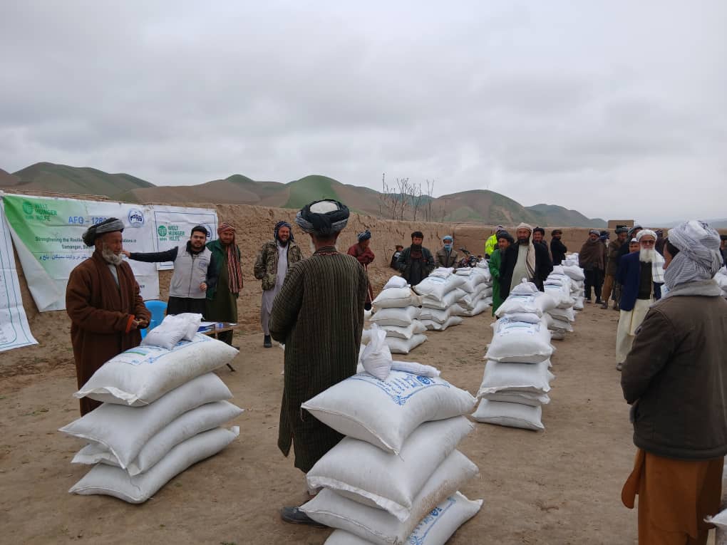 توزیع مواد خوراکی حیوانی برای مالداران در ولسوالی‌های قوش‌تپه و درزاب جوزجان