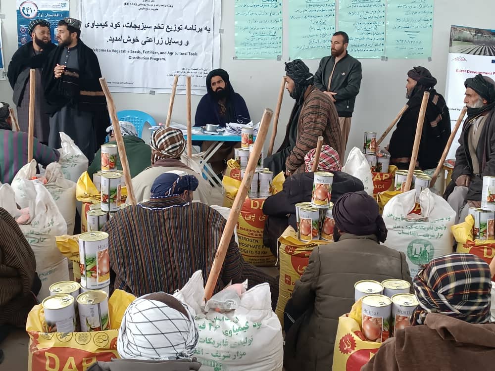 توزیع تخم پیاز و کودهای کیمیاوی برای ۷۷ تن از دهاقین در جوزجان
