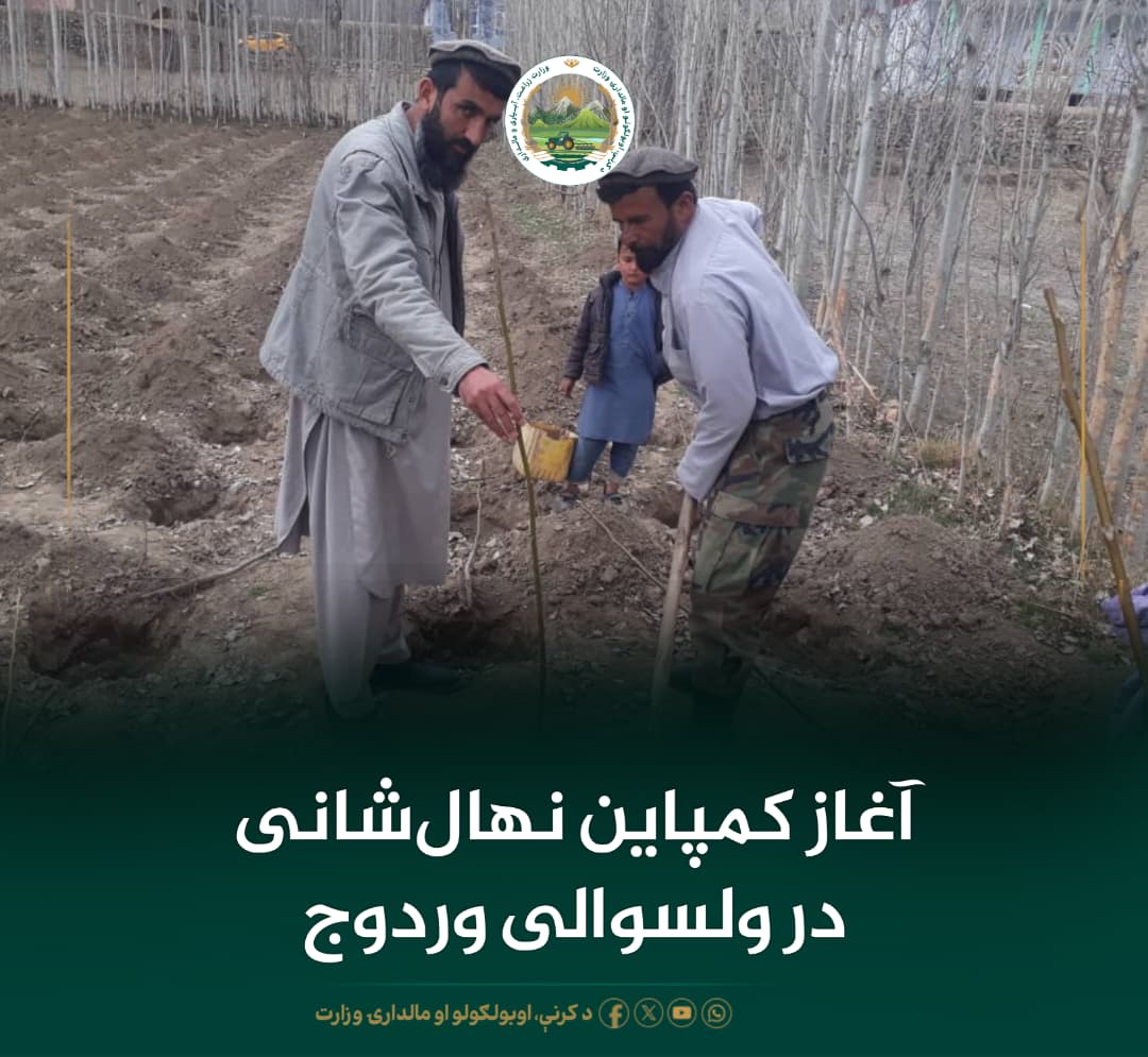 خبرهای مهم روز