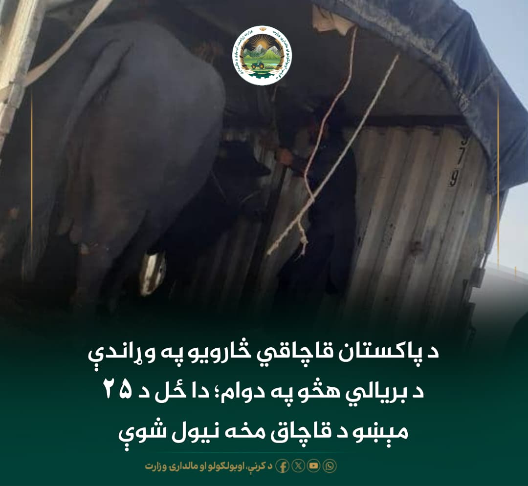 د ورځ مهمی خبری