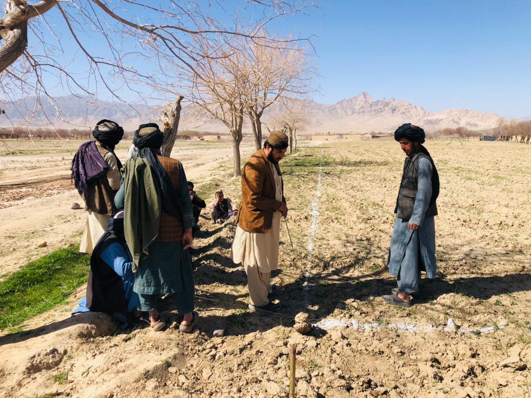 کندهار کې یوشمېر بڼوالو ته ننداریز بڼونه جوړ شول