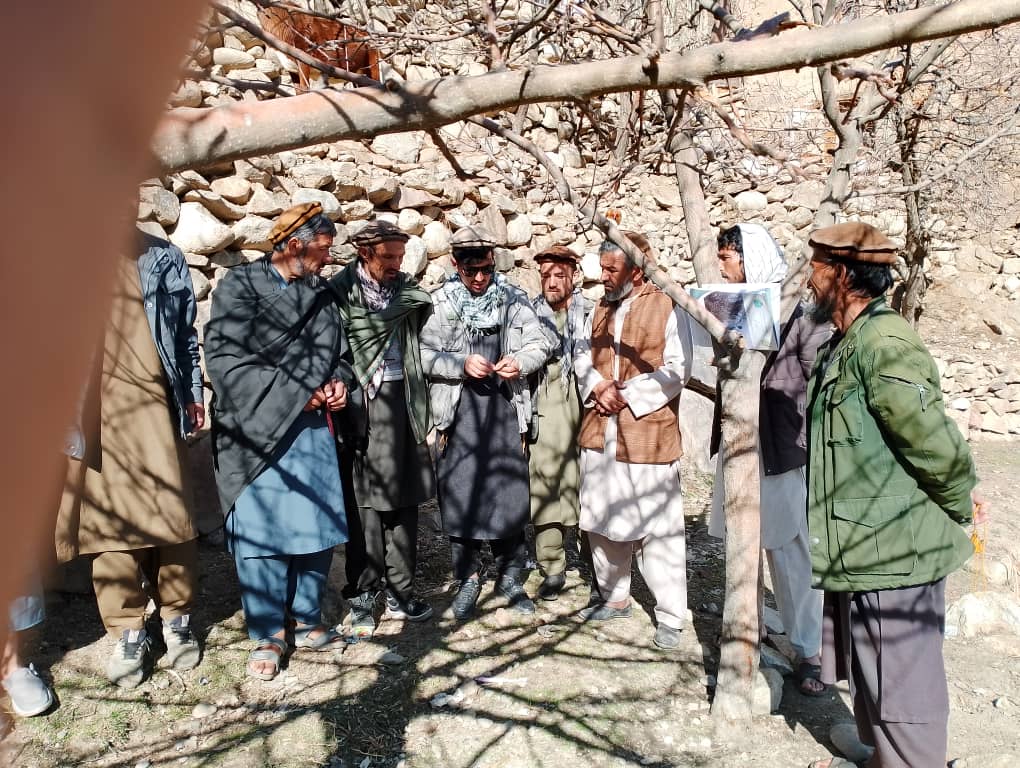 برگزاری برنامه آموزشی برای دهقانان و باغداران در ولسوالی آبشار پنجشیر