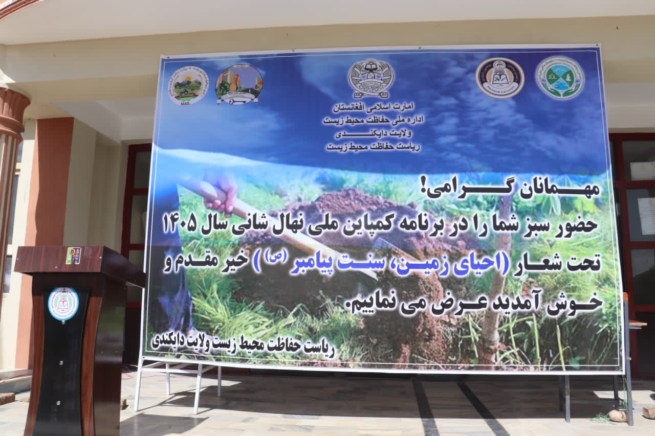 آغاز کمپاین نهال‌شانی در دایکندی