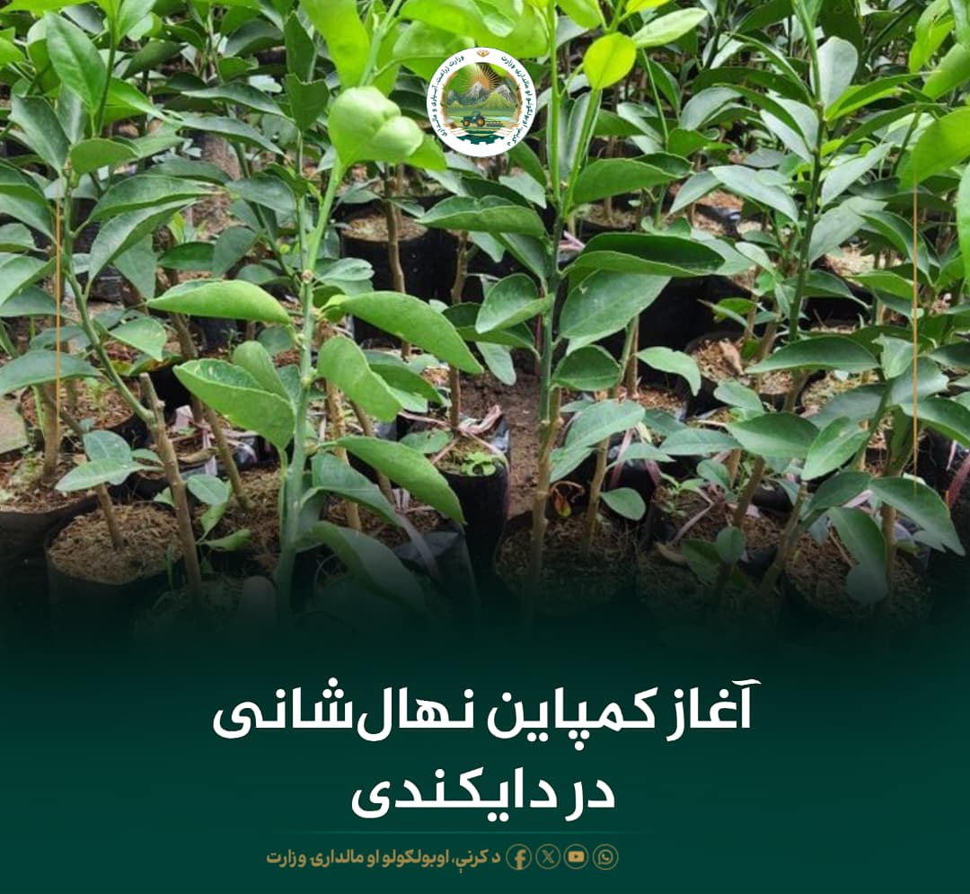 خبرهای مهم روز