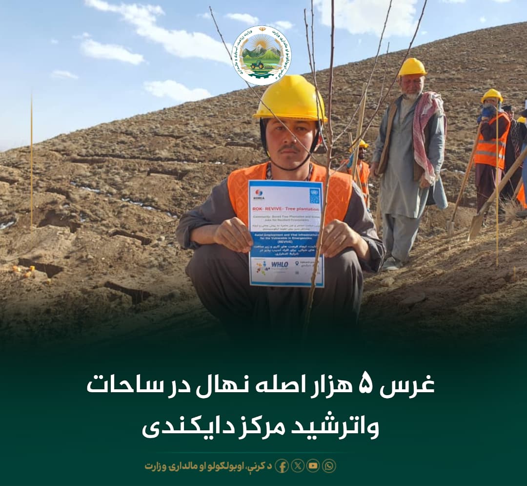 خبرهای مهم روز