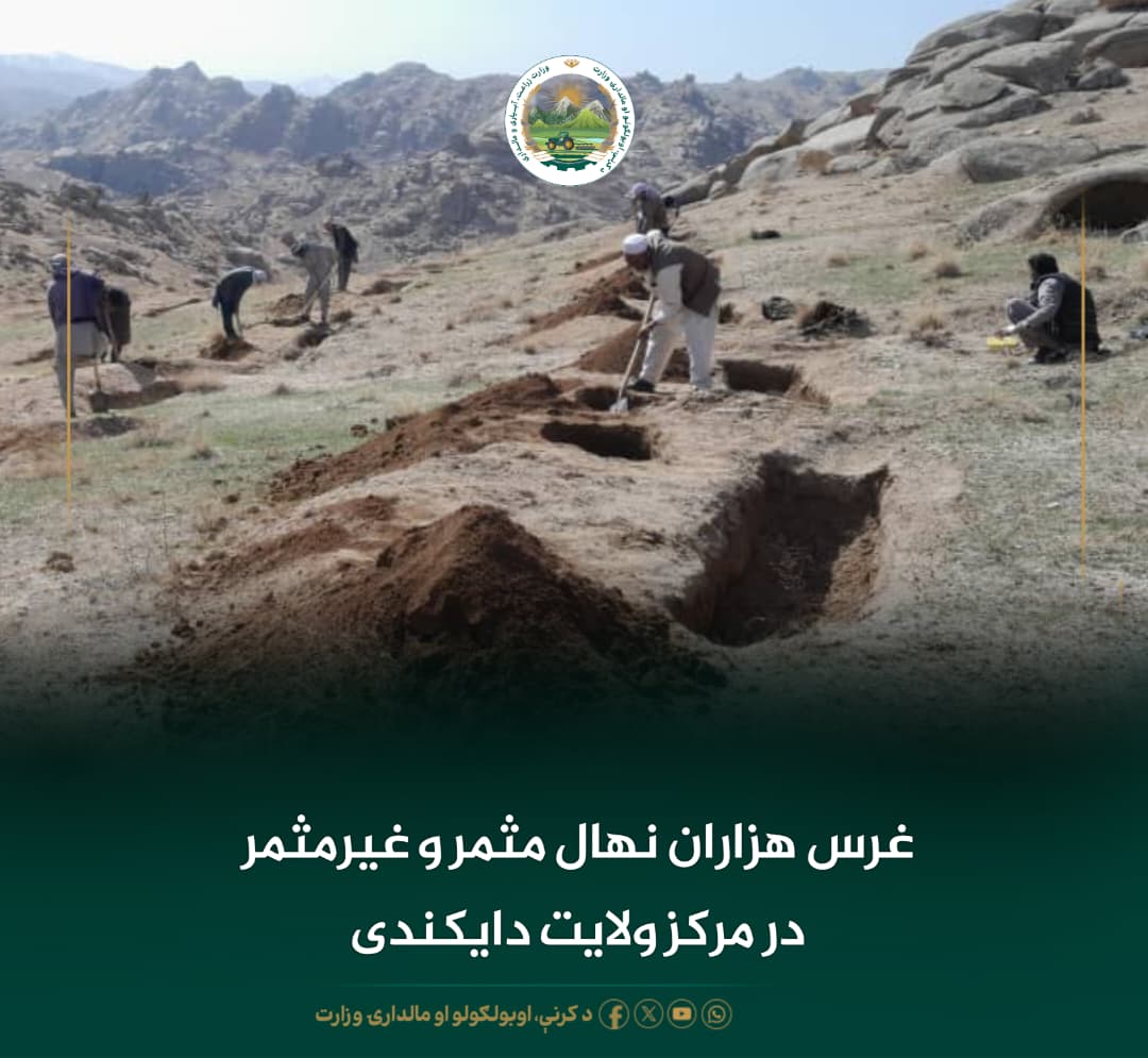 خبرهای مهم روز