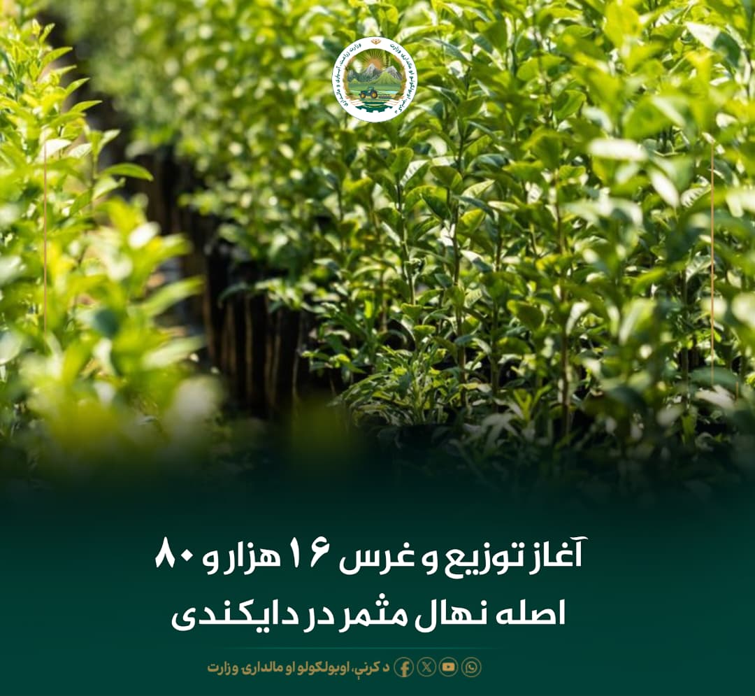 خبرهای مهم روز