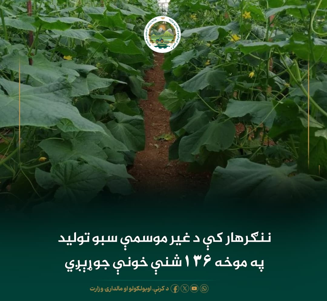 د ورځ مهمی خبری