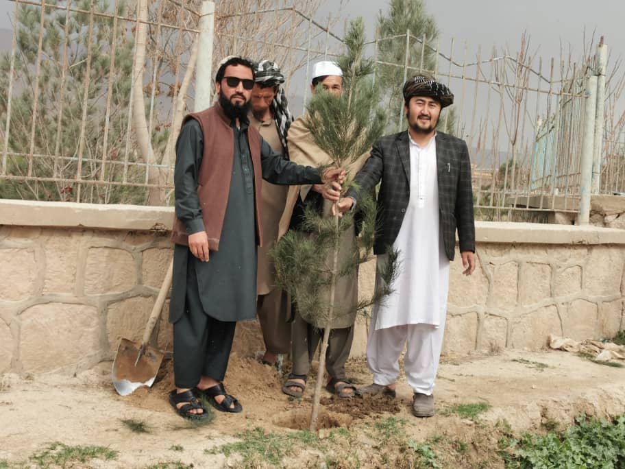 ادامه کمپاین نهال‌شانی بهاری در ولایت سمنگان