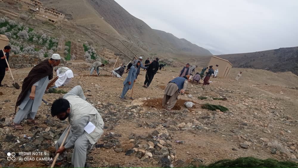 توزیع نهال‌های غیرمثمر و تخم سبزیجات برای دهقانان در ولایت دایکندی