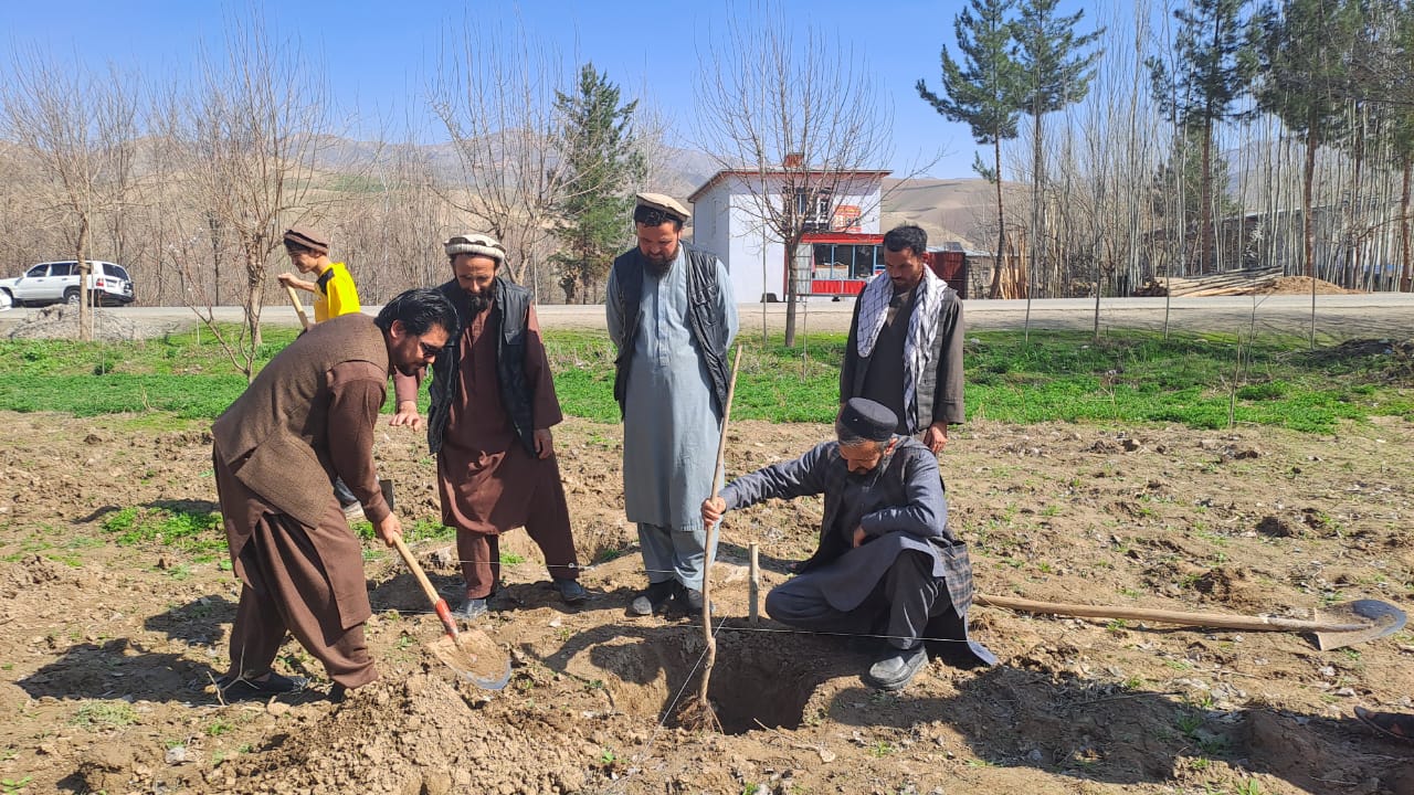 ایجاد ۲۱۹ باغ تجارتی در ولایت بدخشان آغاز شد