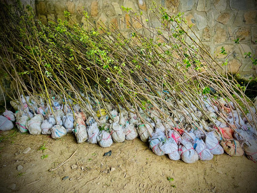 د خوست دکرنې، اوبولګولو او مالدارۍ رییس مولوي شیرمحمد ذبیح په دې ولایت کې د اړیکو دفتر«ټي‌ال‌او» ولایتي مسوول محمد علي ځدراڼ سره په ناسته کې د یاد دفتر پر پلي شوي او پلي کېدونکو پروژو خبرې وکړې.