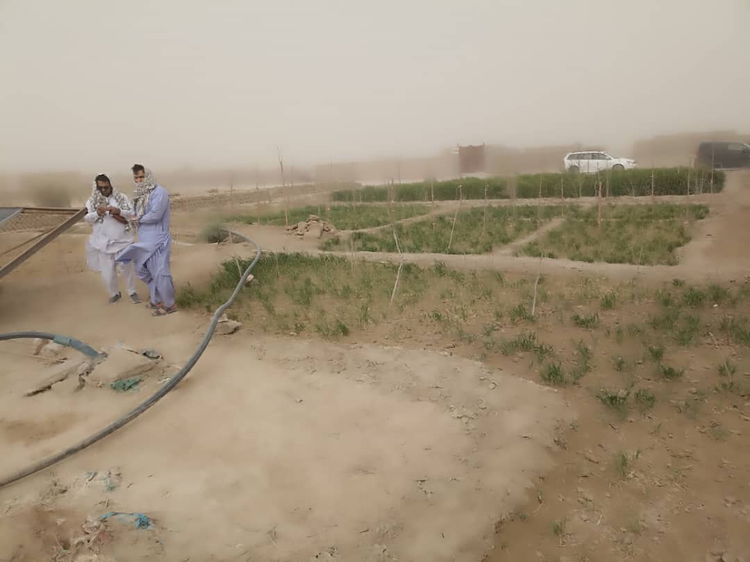 سروی و راه‌اندازی گلخانه‌های کوچک در مرکز زرنج