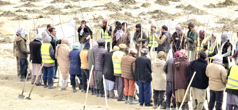 کمپاین نهال‌شانی در ولسوالی‌های زیباک، بهارک و وردوج ولایت بدخشان