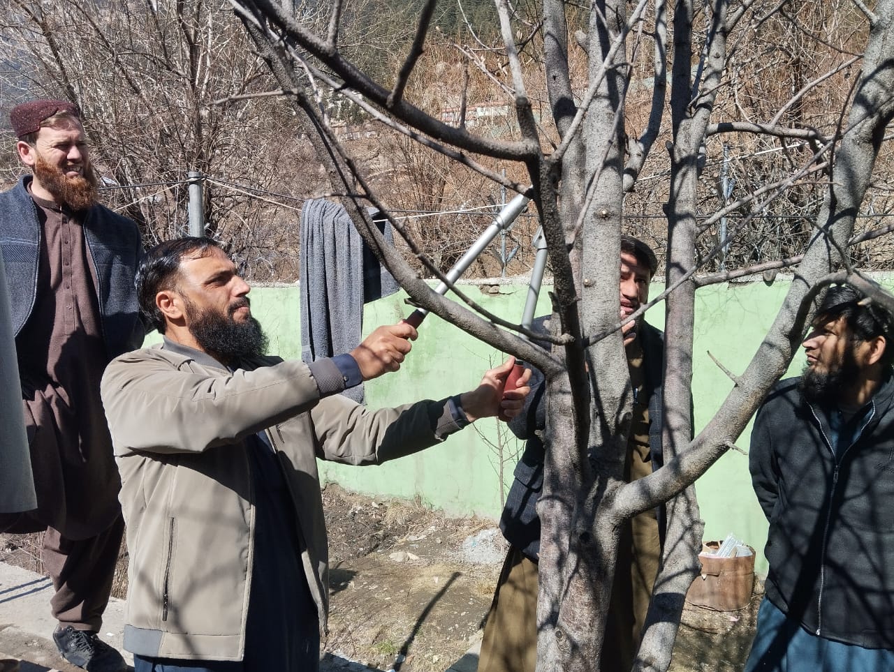 نورستان کې یوشمېر بڼوال وروزل شول 