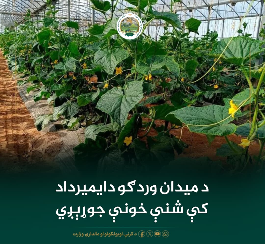 د ورځ مهمی خبری