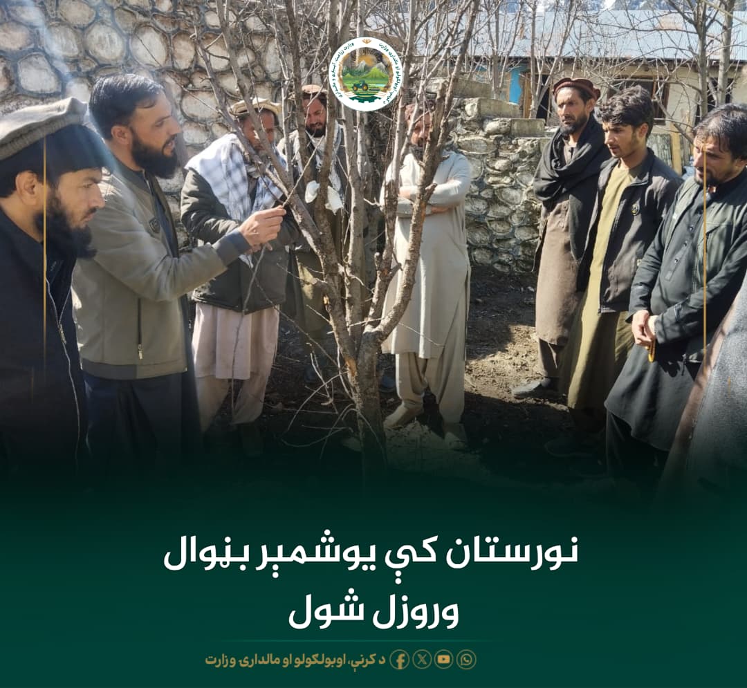 د ورځ مهمی خبری