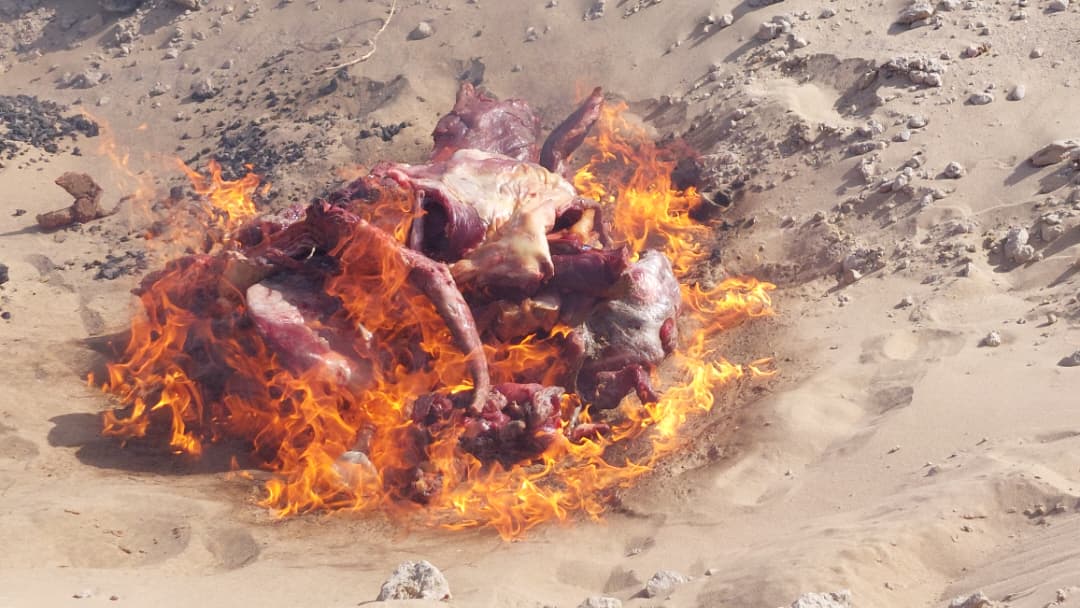 حریق و از بین بردن ۷۰ کیلوگرام گوشت فاسد در ولایت نیمروز 