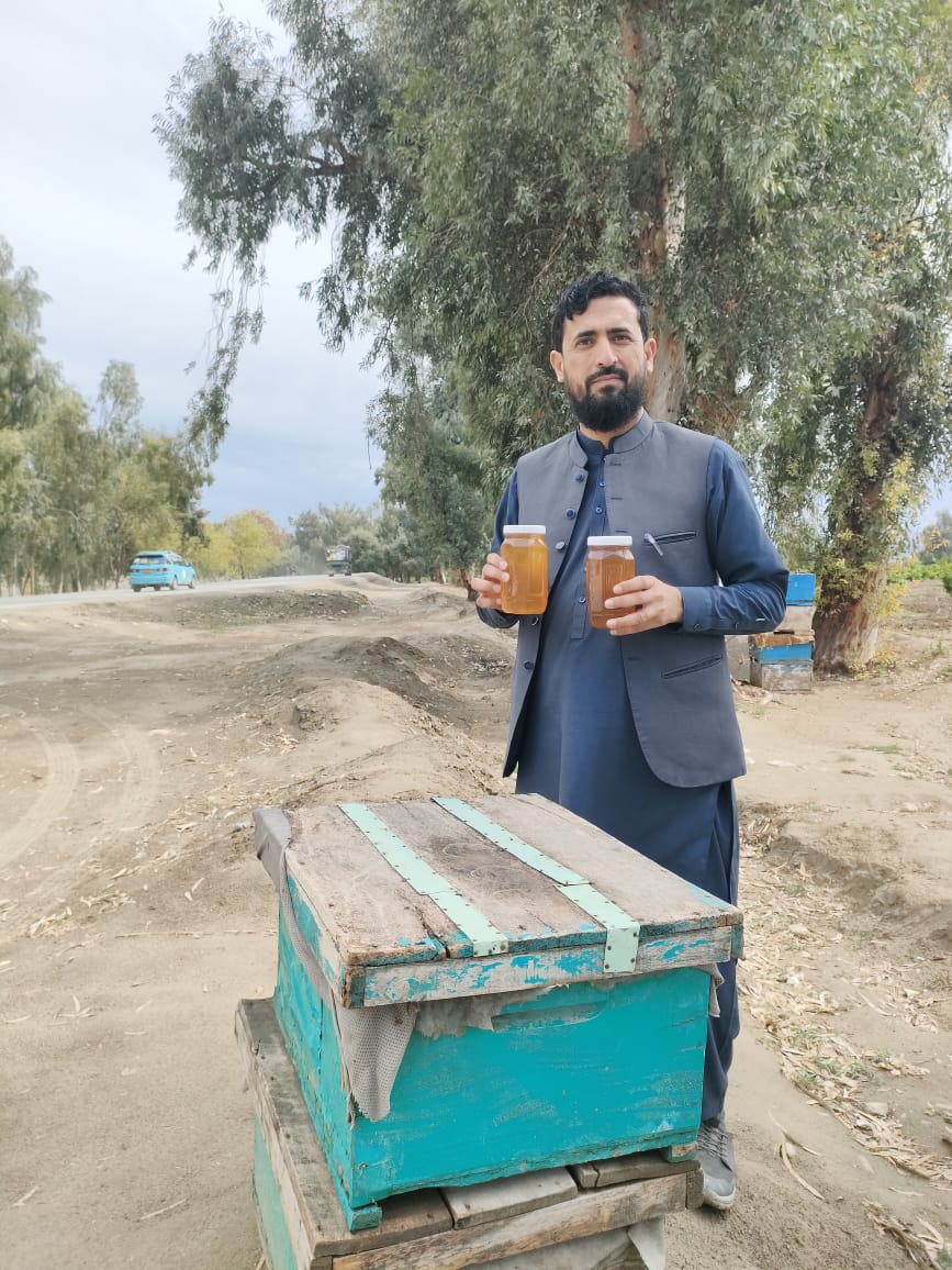 ننګرهار کې د بېرې ونو کرلو سره د بېرې شاتو تولید او مینه وال زیات شوي