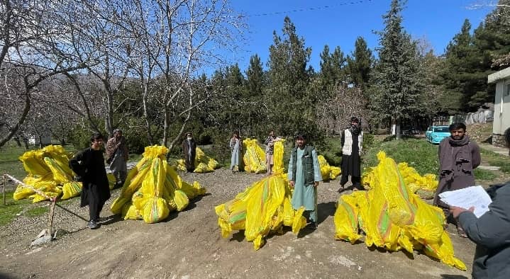 توزیع  نهال جهت احداث باغ‌های مثمر برای باغداران در ولسوالی فرخار