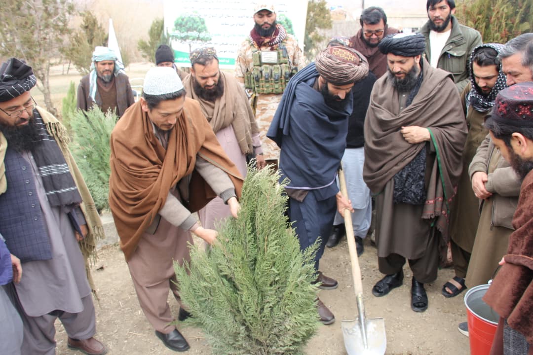 آغاز کمپاین ملی نهال‌شانی در ولایت بامیان