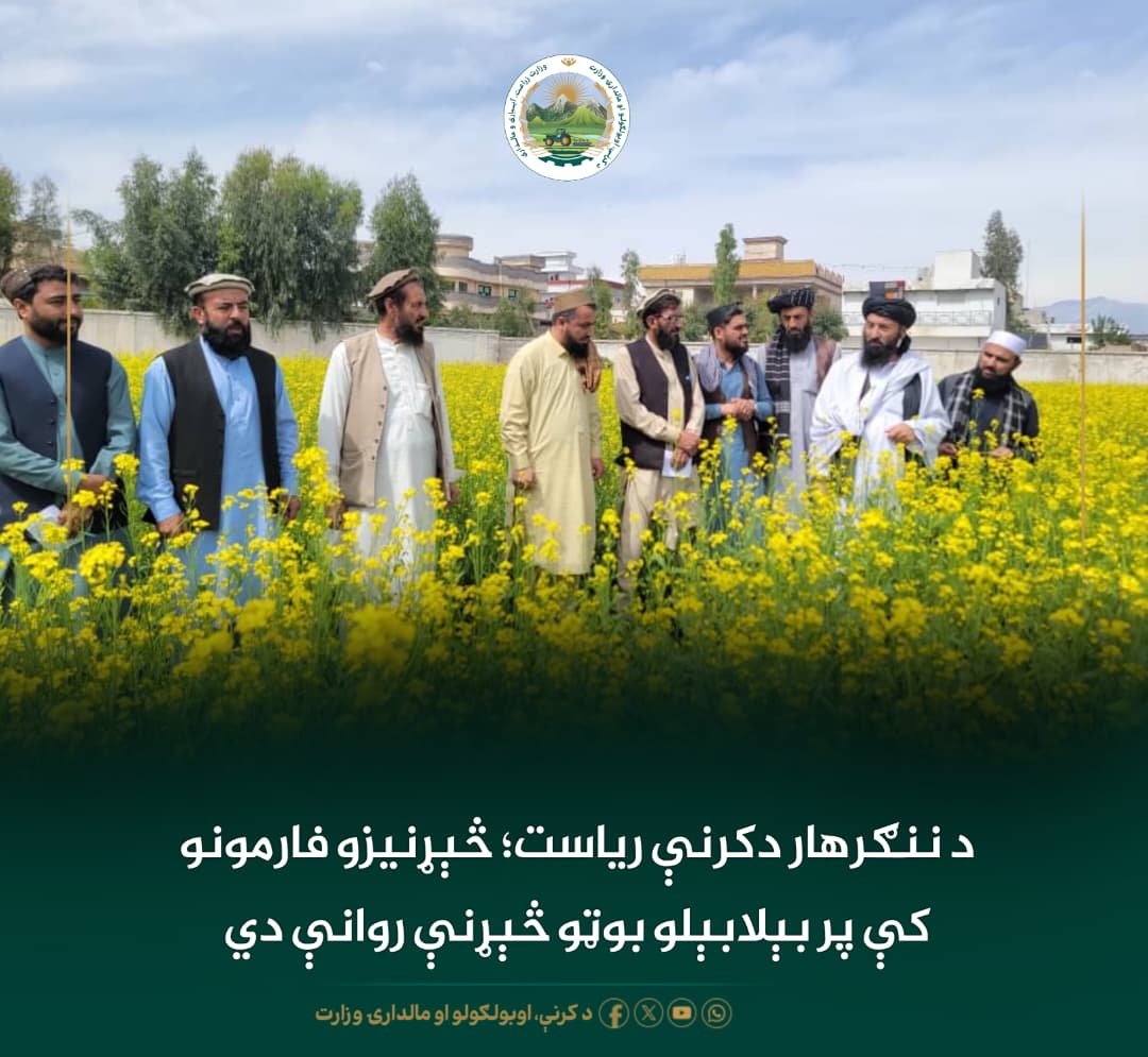 د ورځ مهمی خبری